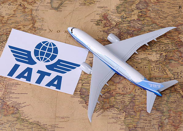 Airlines-feeling-the-squeeze-on-profit-margins-says-IATA-October-report_edited